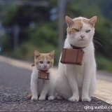 屁屁皮