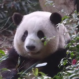 你好关你什么事