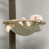 He可乐鸡翅