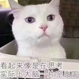 上班摸鱼真君