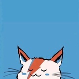 猫🐱