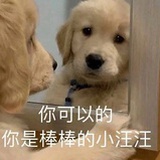 诸事顺遂