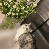 哔哔哔