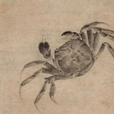 木质