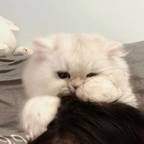 我想吃火锅