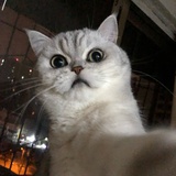 一丢丢。