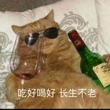 岩盐芝士