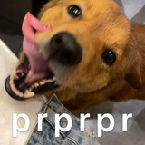 有没有君