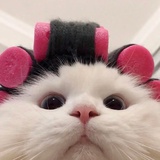 炸鸡侠