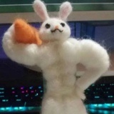 星际巨兔