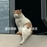 浅海浮游生物