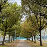 慢慢地坚持