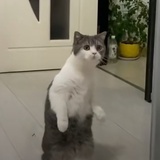 一三五