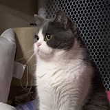 不要再买了