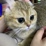 嗯？