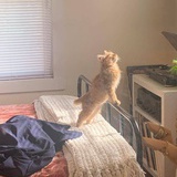 明世