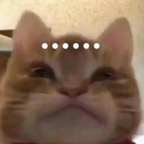 Suhee诉