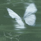 السعادة صحة