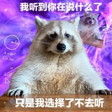 逆风局局长