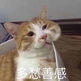 100分