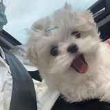一十十一
