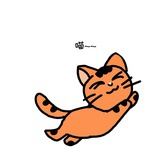 甜橙猫