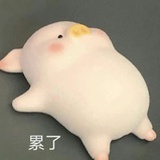 小小一只喵
