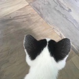 小小经年
