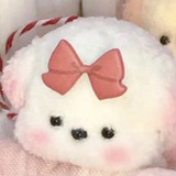 momo（发疯版