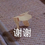 蛋黄贝贝