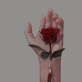 ·玫瑰童话日·