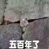 求佛