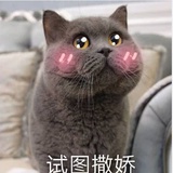 蛋黄派