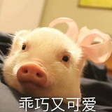 豆豆豆豆