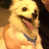 跌进深的海。