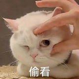 嗑死你算了