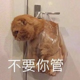一颗瓜子