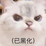 能不能学习啊