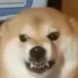 反复无常发疯