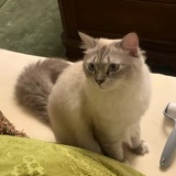 知往而不知未