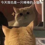 可爱酥