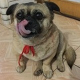 牛头人