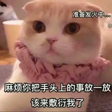 一只喵