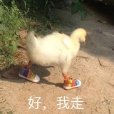 酷弟