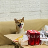 滴迪底第