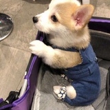 阿井阿井    