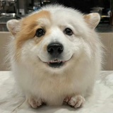 叶河林