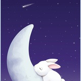 月亮上的兔子