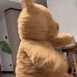 已注销