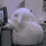 李荣书马上出道